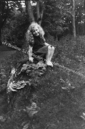 A WOODLAND FAIRY MARY MCGILVRAY